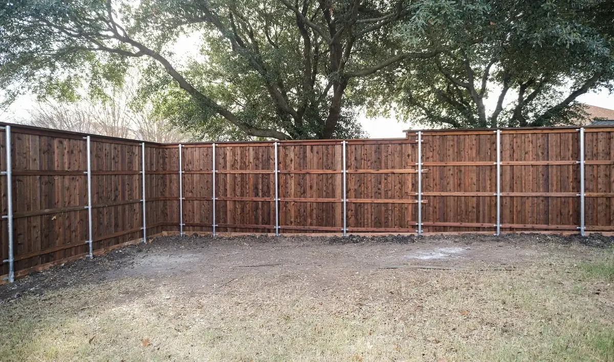 Recent project